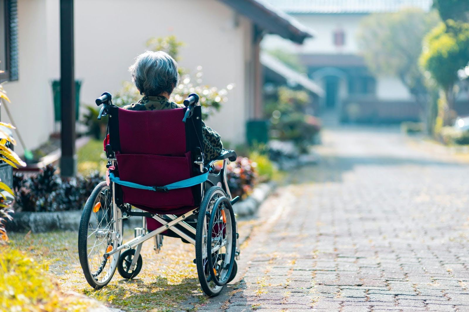 From Sleep to Glucose How Wearables Map the Physiology of Brain Aging